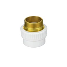 PPR White Male Adaptor Copper 1"